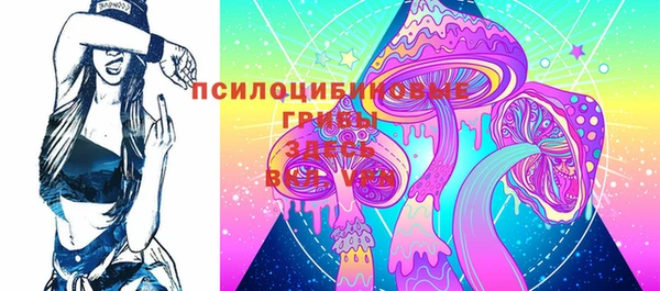 мдпв Гусиноозёрск