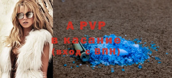 стафф Новый Уренгой